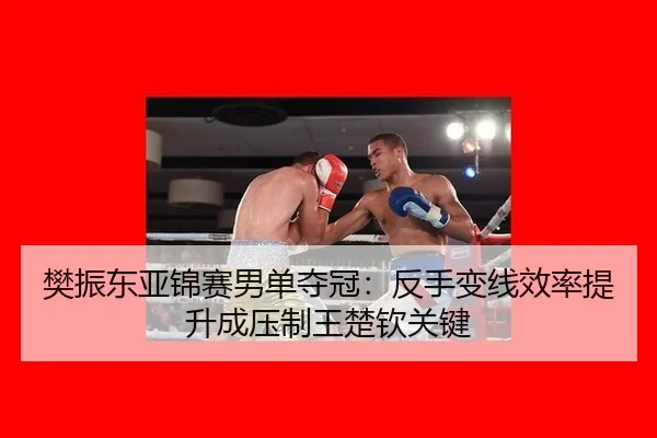 樊振东亚锦赛男单夺冠：反手变线效率提升成压制王楚钦关键