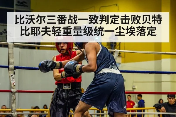 boxing ring action